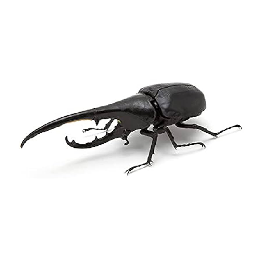 ガシャポン　いきもの大図鑑　かぶとむし 01 全7種　フルコンプ Amazon | バンダイ(BANDAI) いきもの大図鑑 かぶとむし [全7種